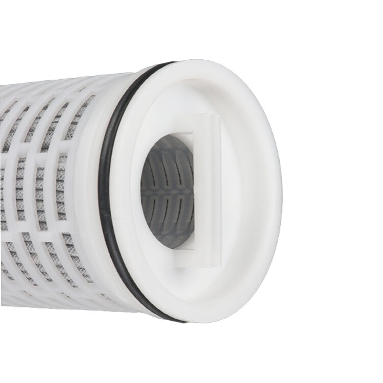 How to Maximize the Lifespan of Your RO Filter Elements for Cost Savings