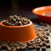 Pet Food