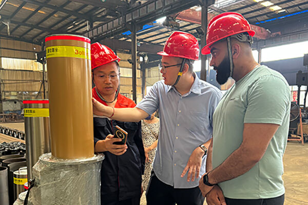 UK Partners Visit Our Factory and Sign Strategic Agreement