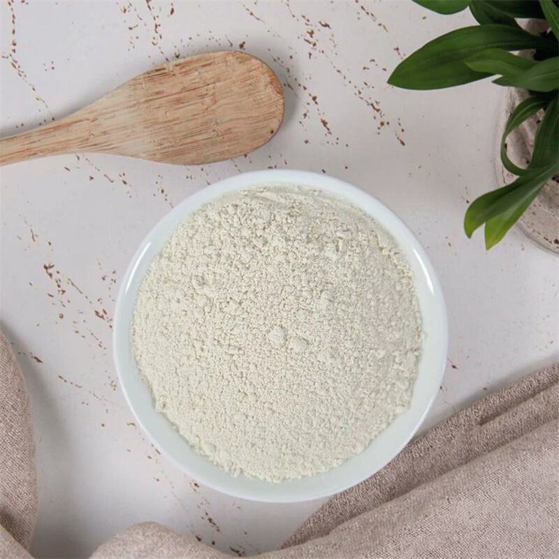 Premium Rice Germ Powder 90 Percent Whole Food Fiber for Allergy Friendly Snacks and Special Dietary Foods with Clean Label