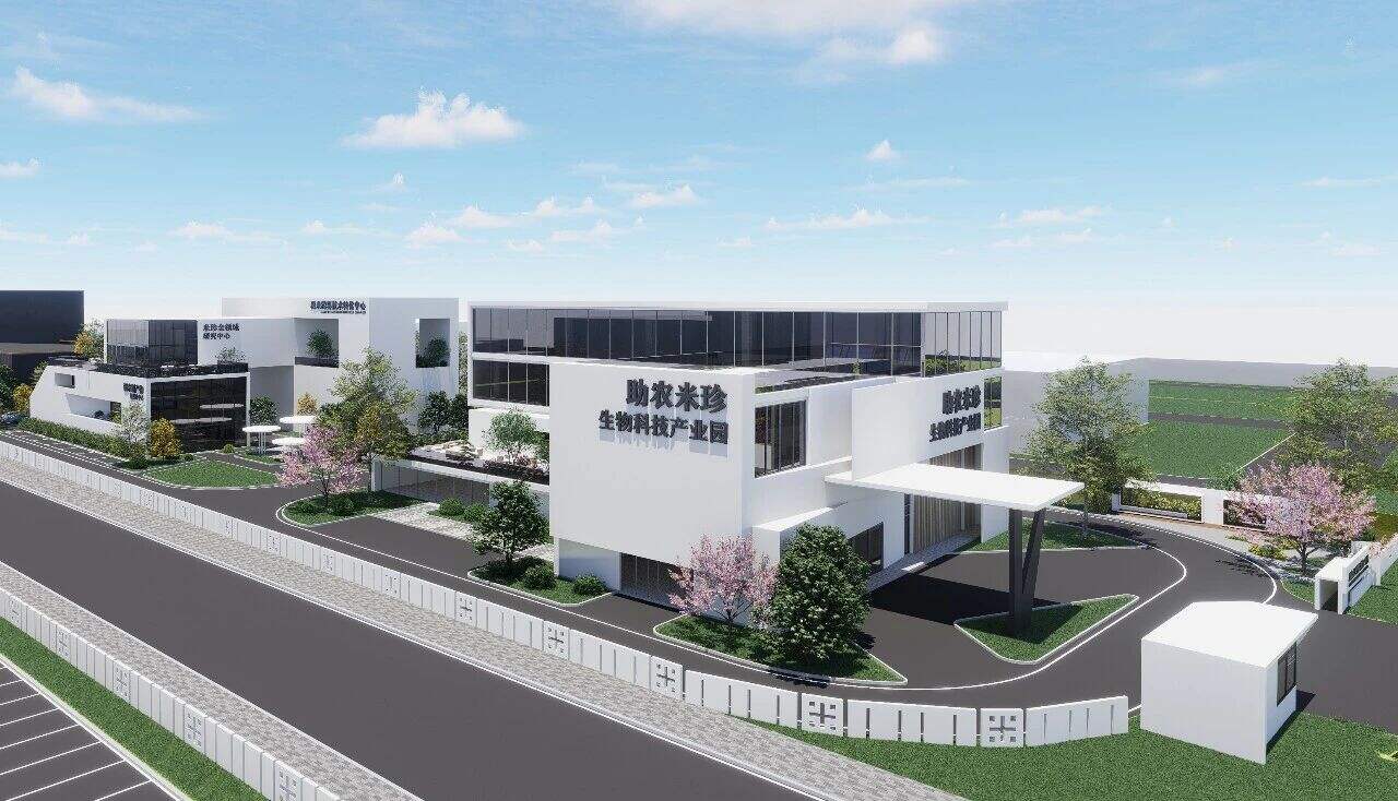 Two Sessions Spotlight | MiZhen: Why is it a Critical Piece of the 