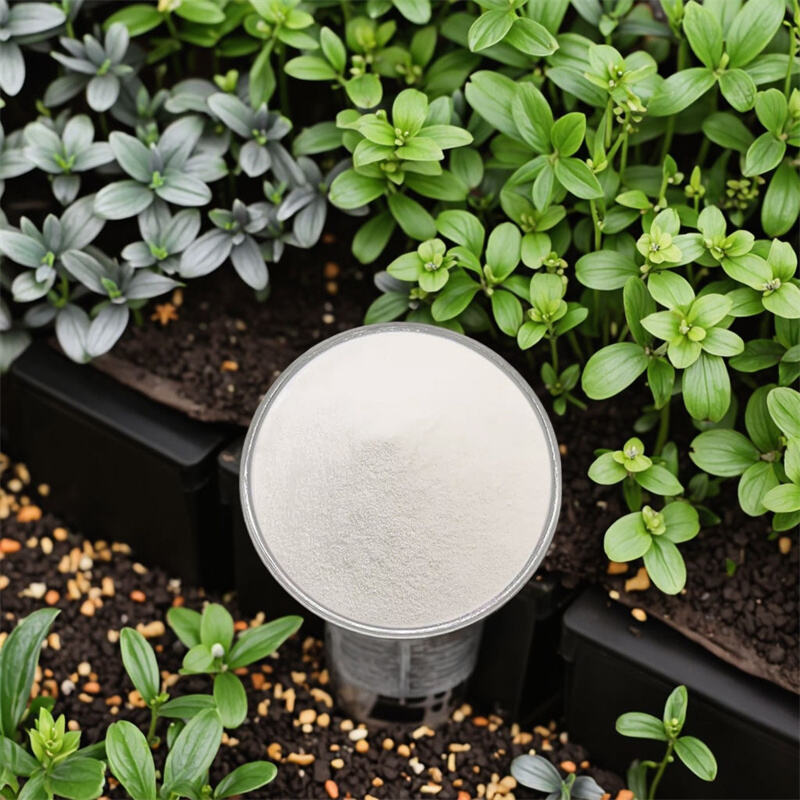 HighQuality Rice Protein Peptides Hypoallergenic Excellent Stability for Baby Food and Sports Nutrition with Isotonic Property