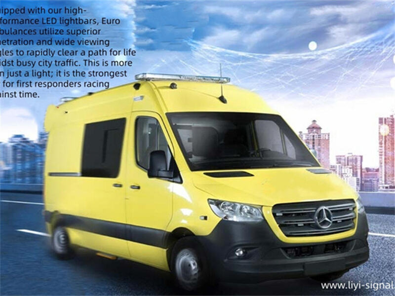 Headline: Engineered for Compliance: Lighting the Euro   Fleet