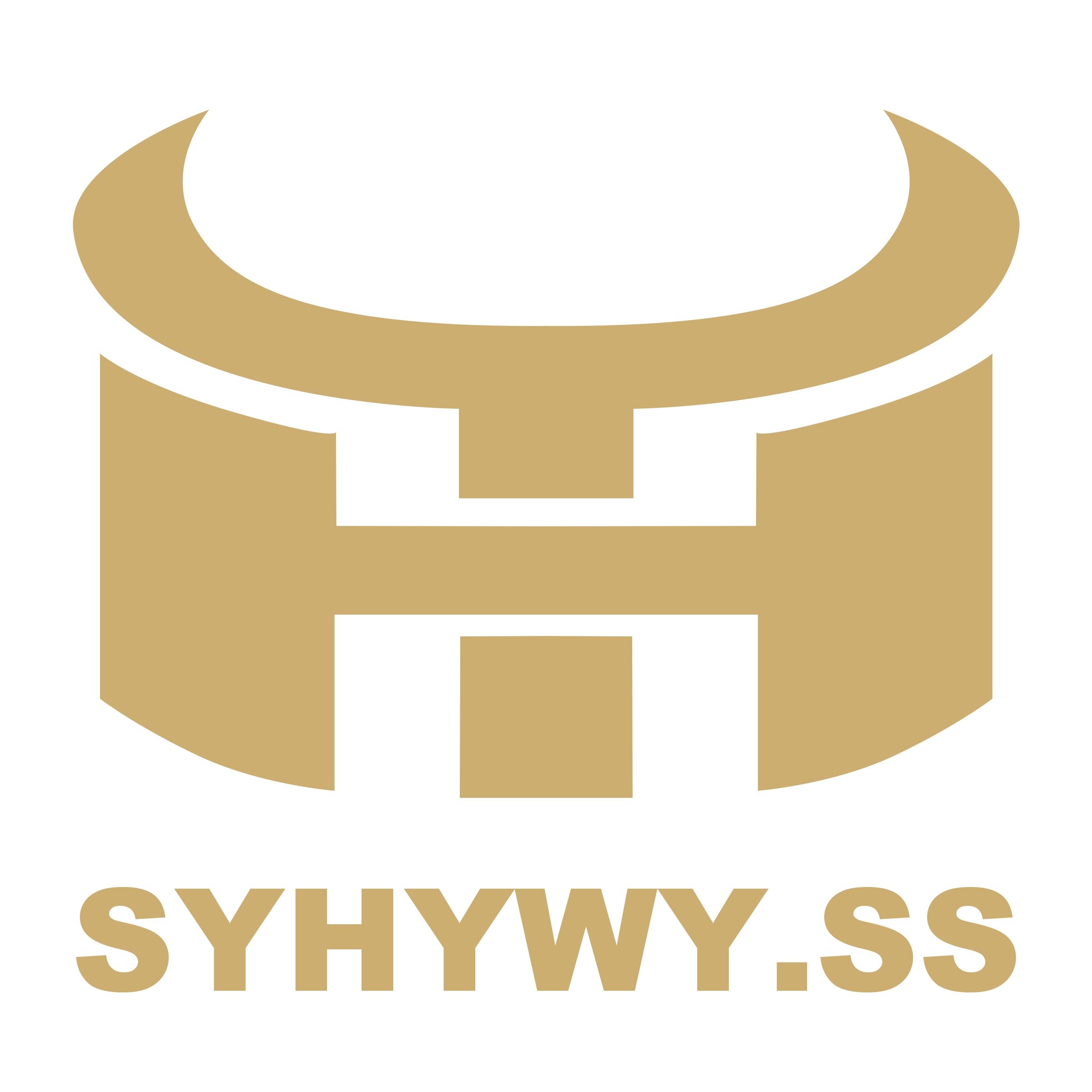 Shenyang Huaying Weiye Steel Structure Co., Ltd.