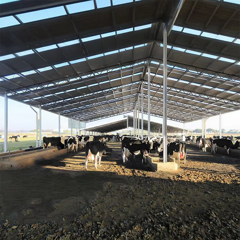 Low-Cost Industrial Shed Building Design Light Gauge Steel Framing Price Steel Building