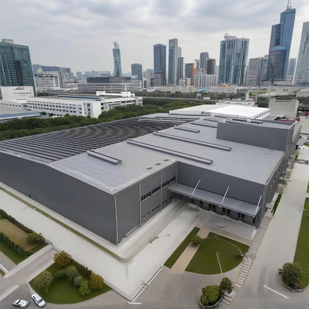 프리미엄 품질의 폴 베른용 강철 트러스