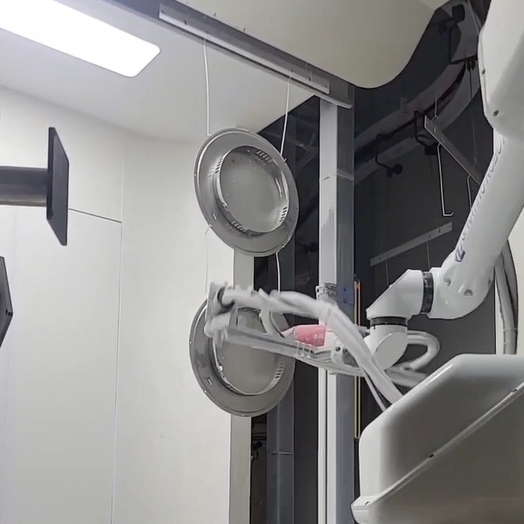 Intelligent Spraying Robots for Coating Field