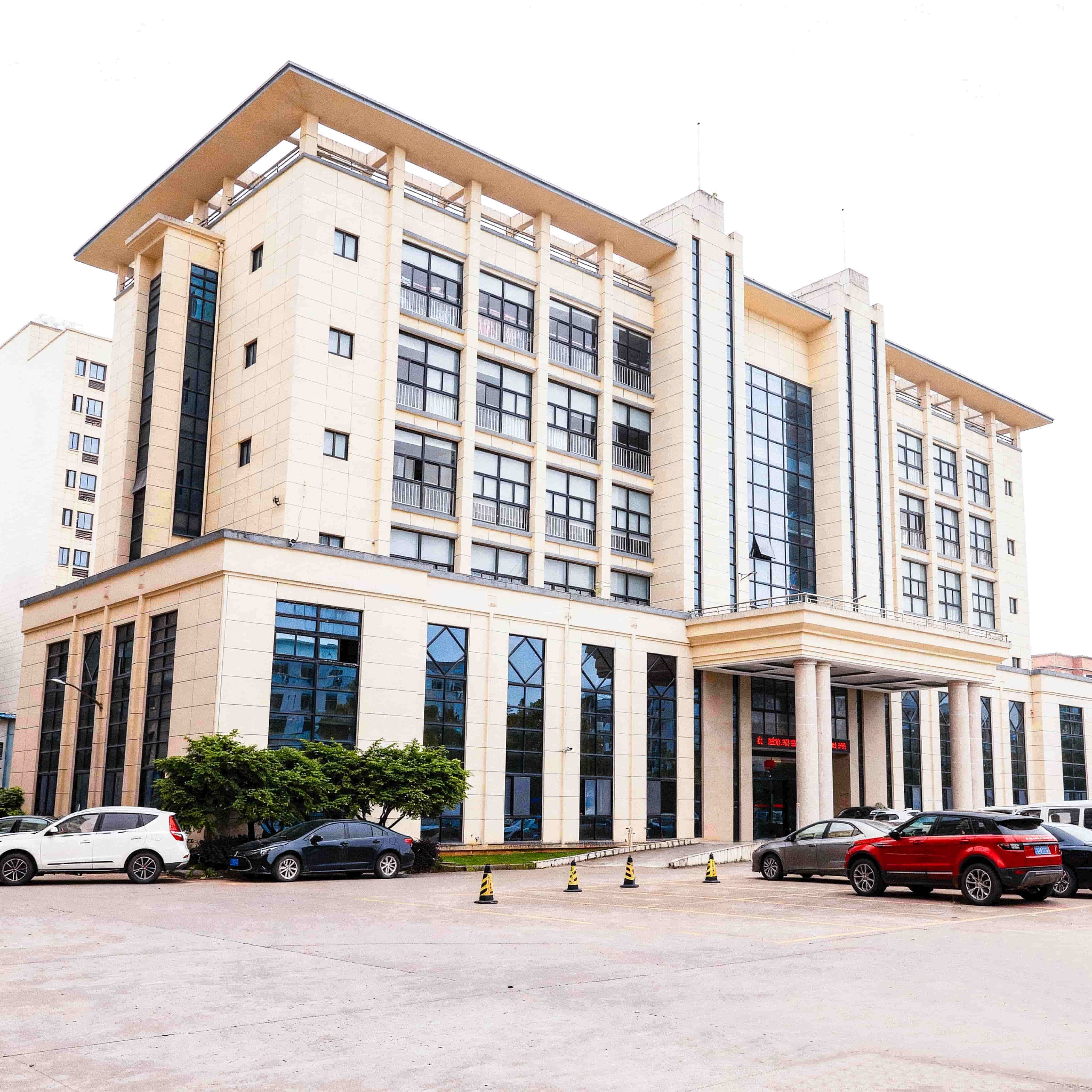 YiWu DiYaSi Dress CO., LTD