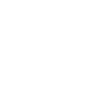 06 OPTIMIZE