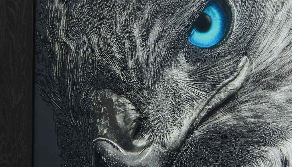 2.	Precision Registration.