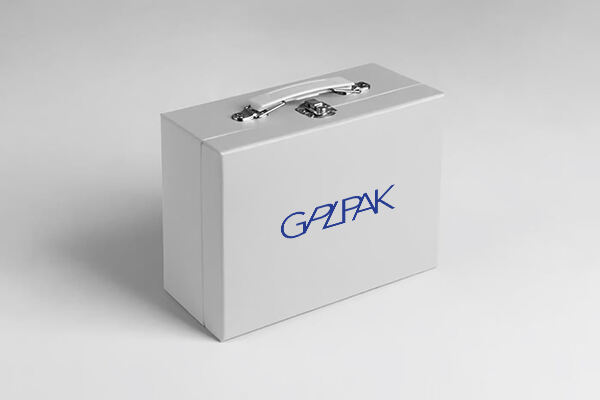 Suitcase boxes
