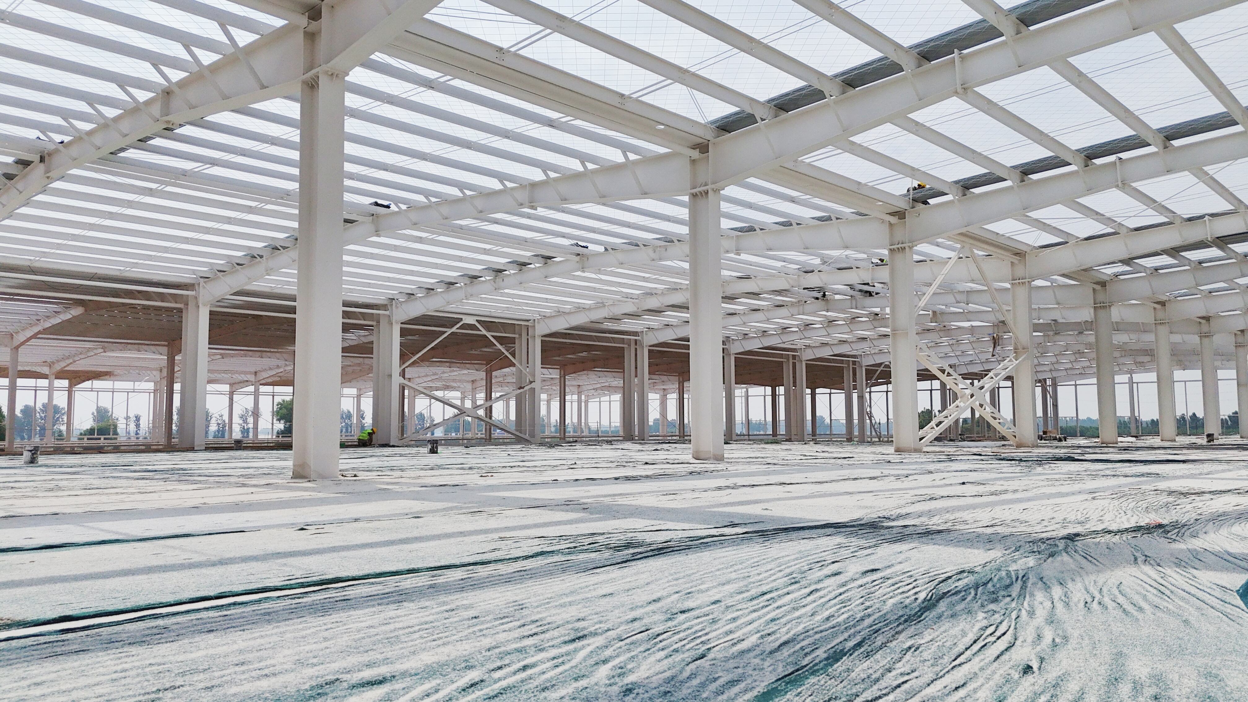 Steel Structure Frame