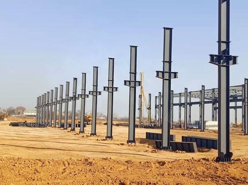 Steel Frame Structure