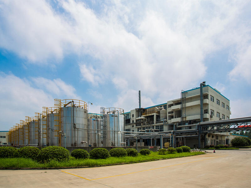 What Are The Benefits of Using Unsaturated Polyester Resin Driveways in Modern Construction