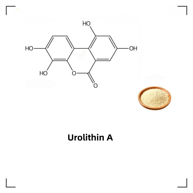 Urolithin A Číslo CAS 1143-70-0