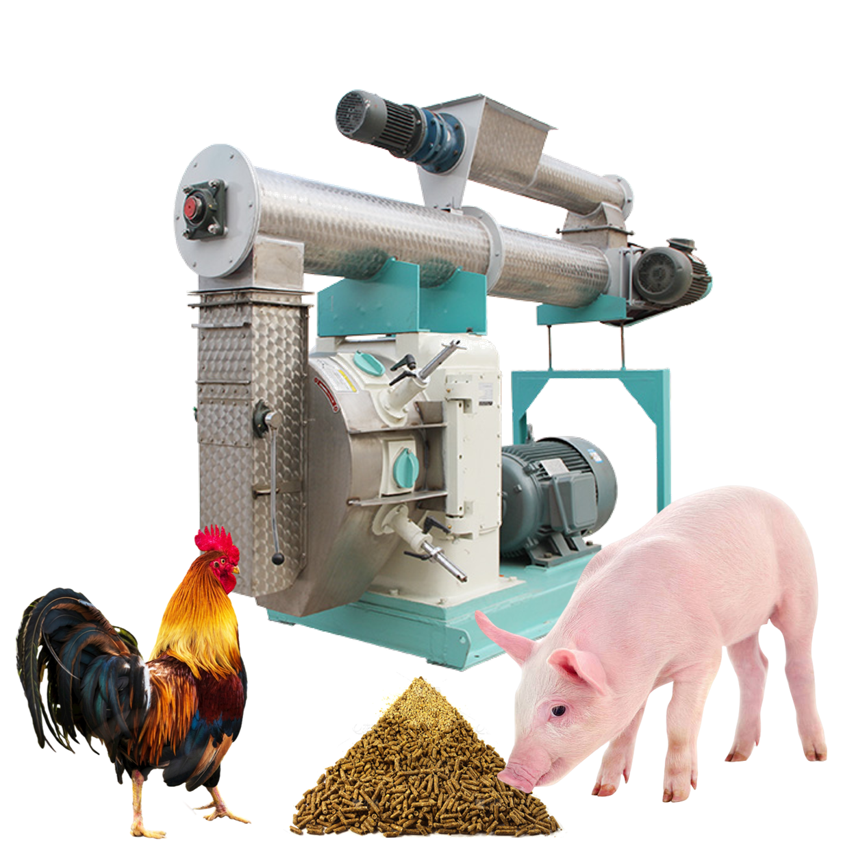 Quali modelli di granulatori sono adatti alla produzione di mangimi su scala media?