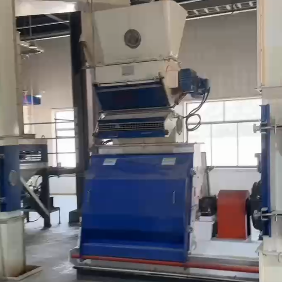 Feed hammer grinder