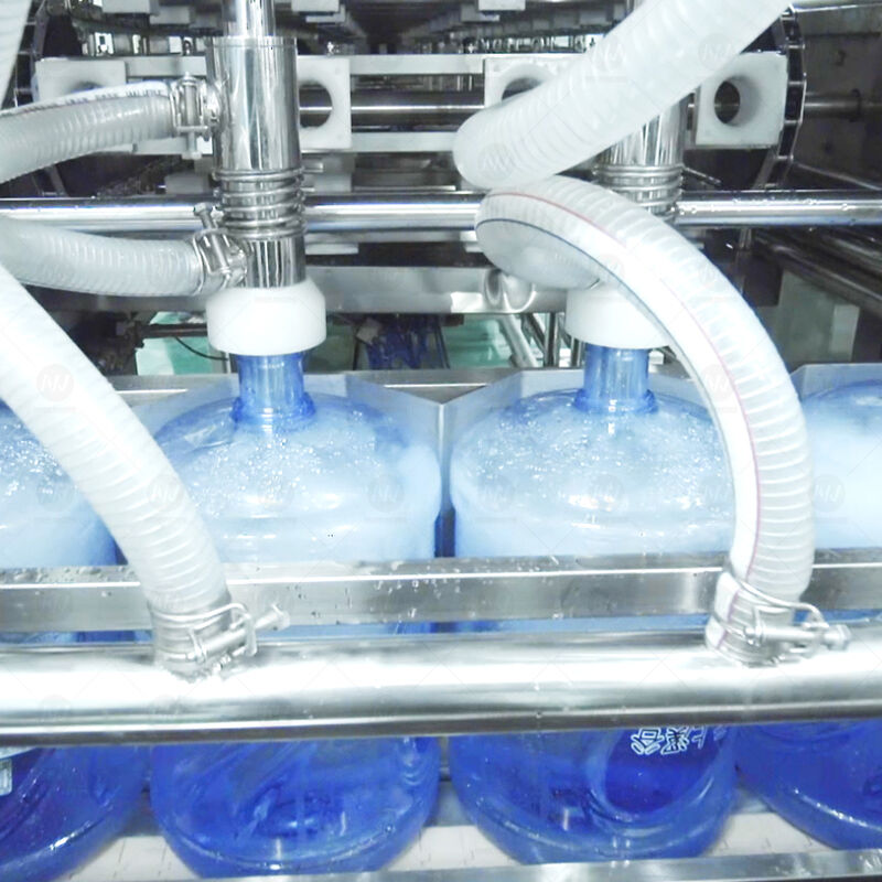 Versatile Multi-Format Compatibility