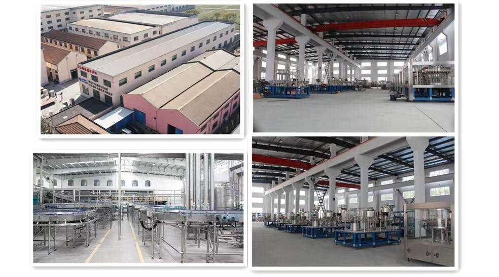 Automatic Liquid Bottling Plant/ Mineral Pure Water Filling Capping and Packaging Machine With Small Plastic Bottles details