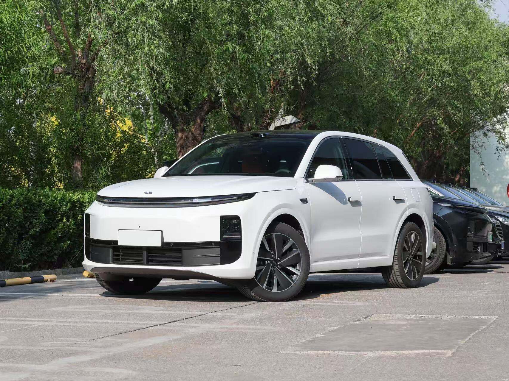 How Have Chinese Cars Expanded Their Market Through EV Development