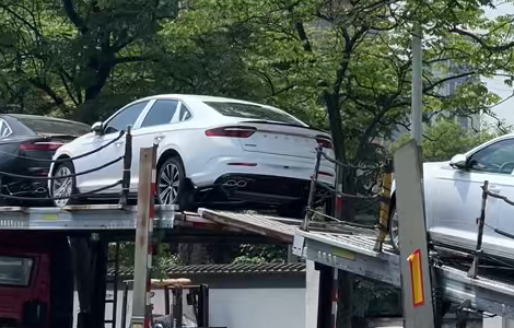 Customs Transportation 2