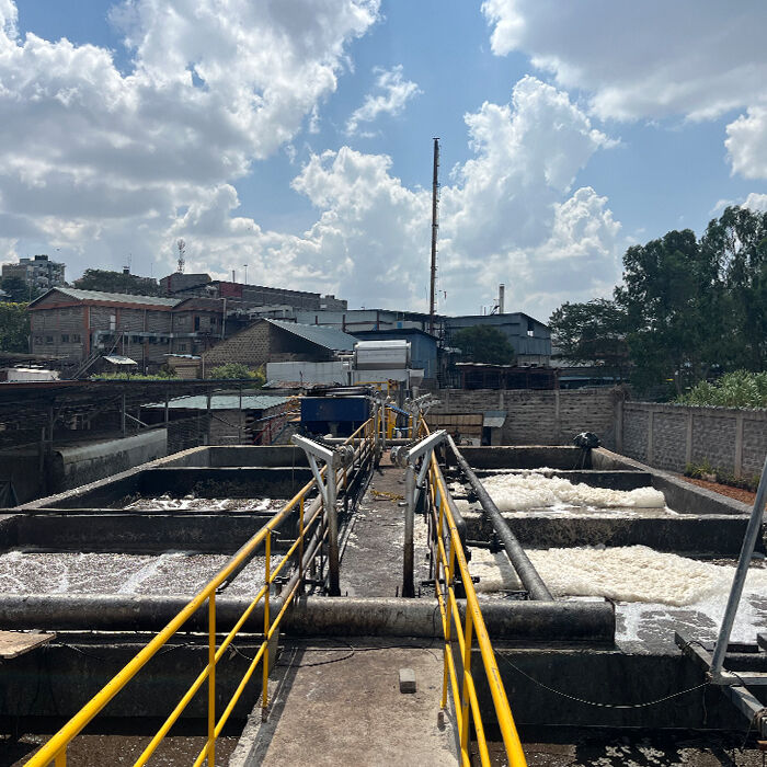 Wastewater Treatment Through Biofilm Reactors: The Miracle of 