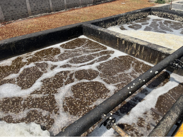 The Preferred Solution for Small and Medium-Scale Wastewater Treatment: Why Is the SBR Process So Popular?
