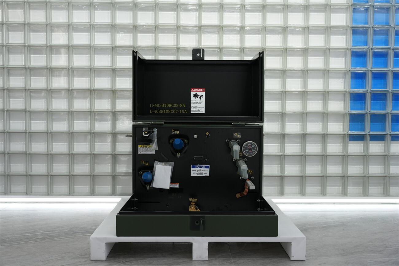single phase pad mounted transformer front.JPG