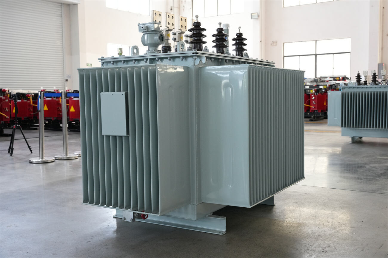 20kv oil immersed transformer 45side 02.JPG