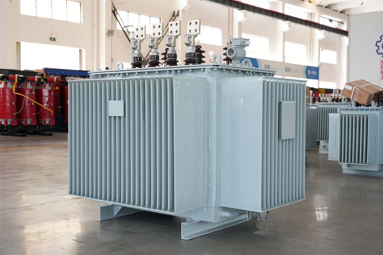 20kv oil immersed transformer 45side01.JPG