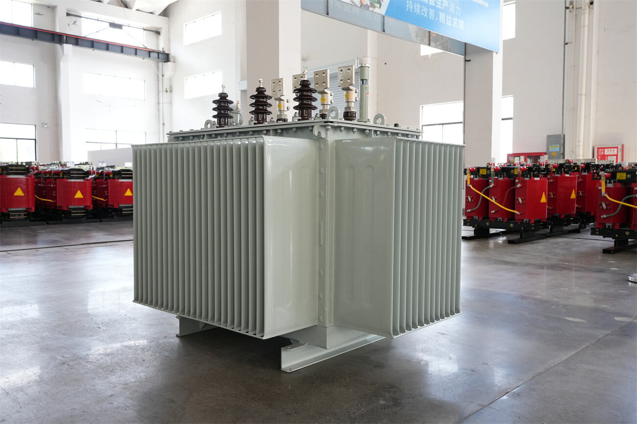 20kv oil immersed transformer rear side.JPG
