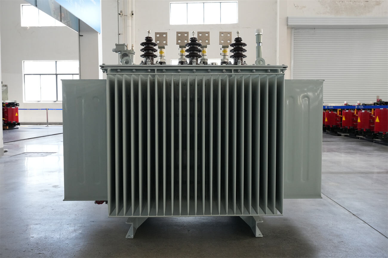 20kv oil immersed transformer rear.JPG