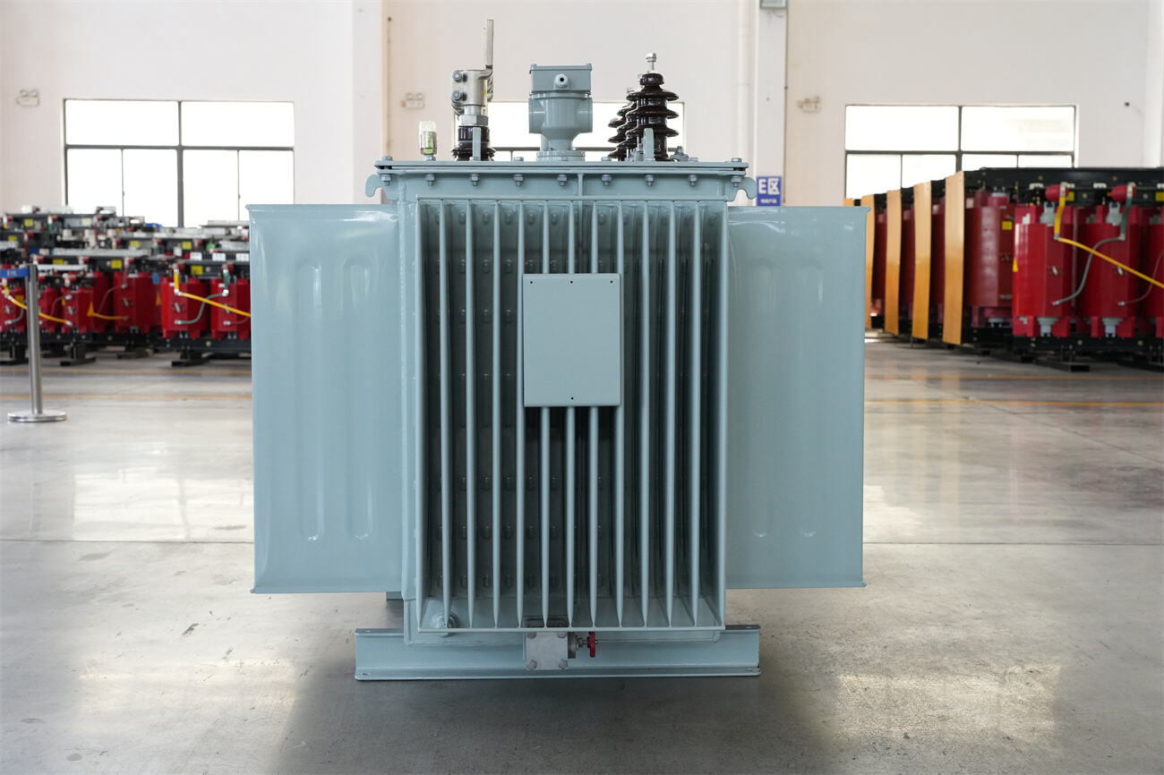 20kv oil immersed transformer side.JPG