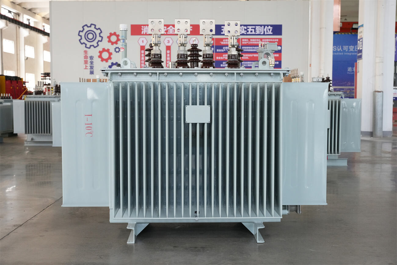 20kv oil immersed transformer front.JPG