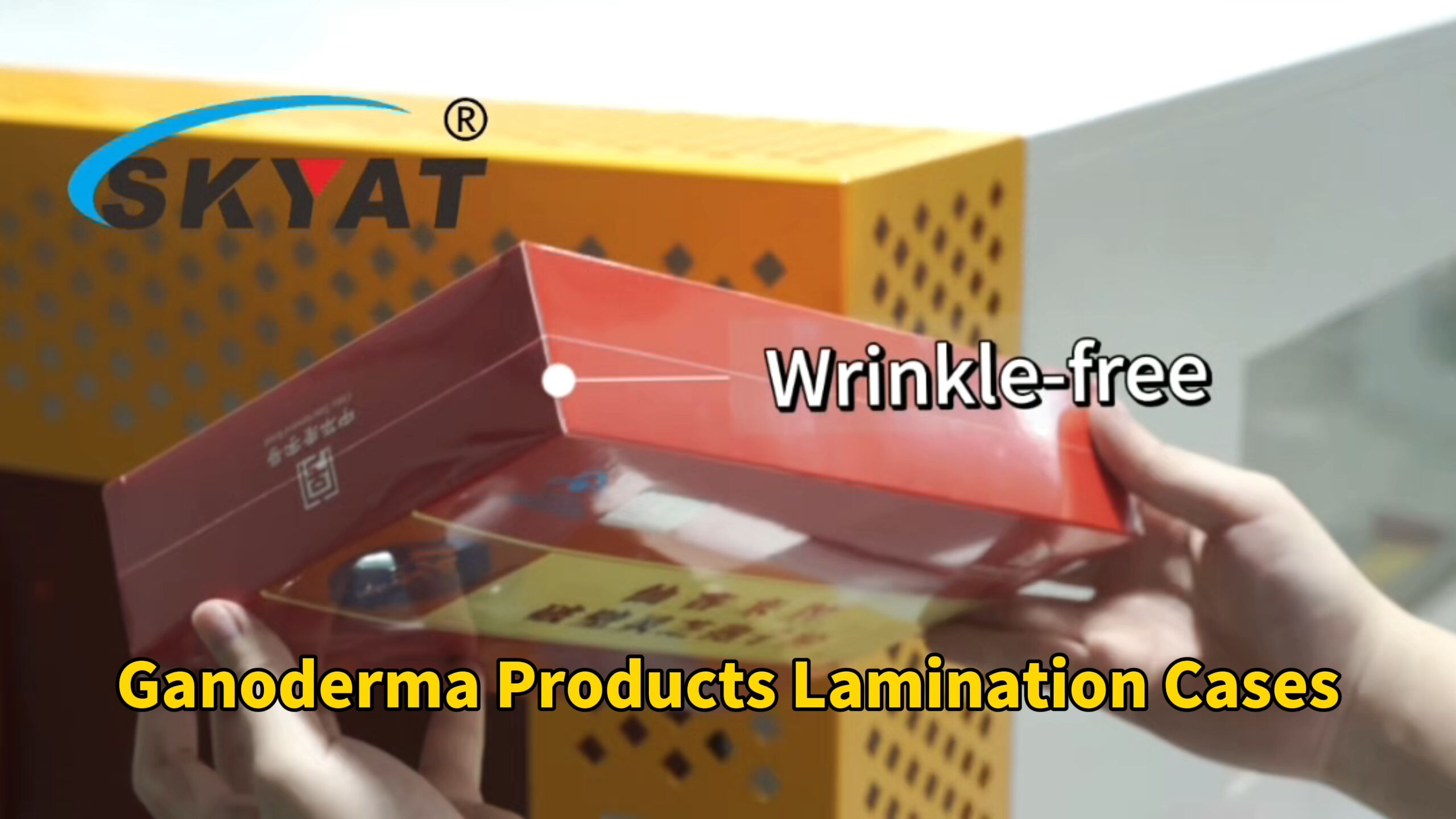 Ganoderma Producys Lamination Cses