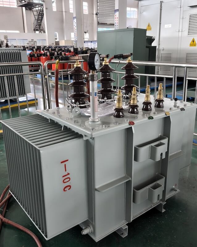 315 kVA Oil-Immersed Distribution Transformer for Ethiopia-05.jpg