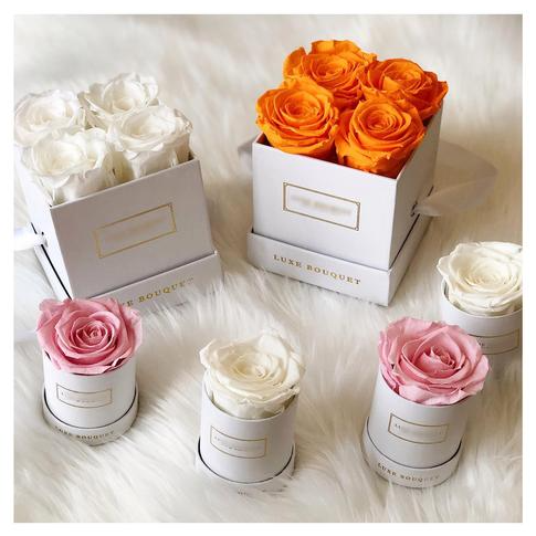 From First Sale to 500 Orders/Month: The Hand-Held Dropshipping Journey of a Shopify Rookie