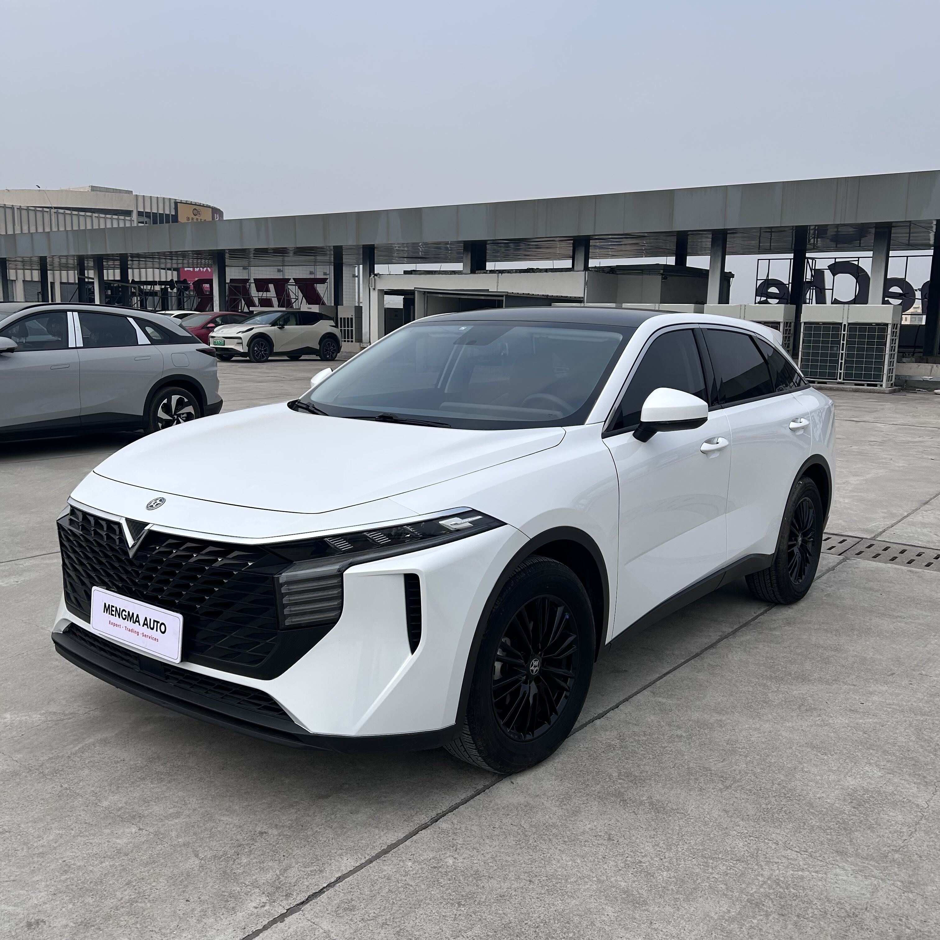 Luxe Interieurbekleding