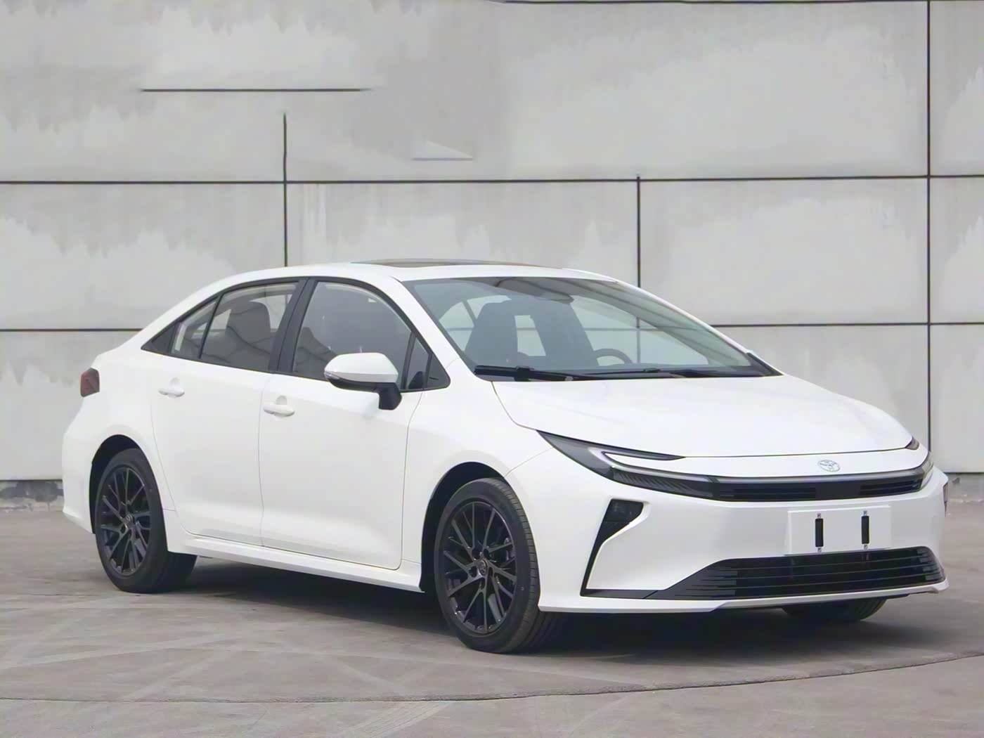 ব্যাপক রপ্তানি সমাধান