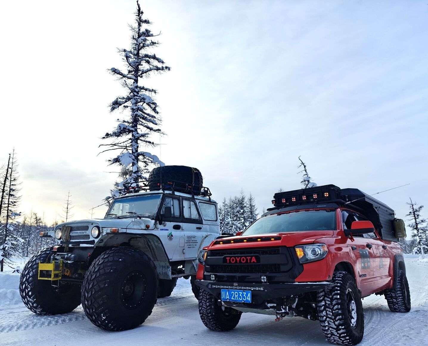 العملية القياسية لوجستيات تصدير السيارات والشهادات