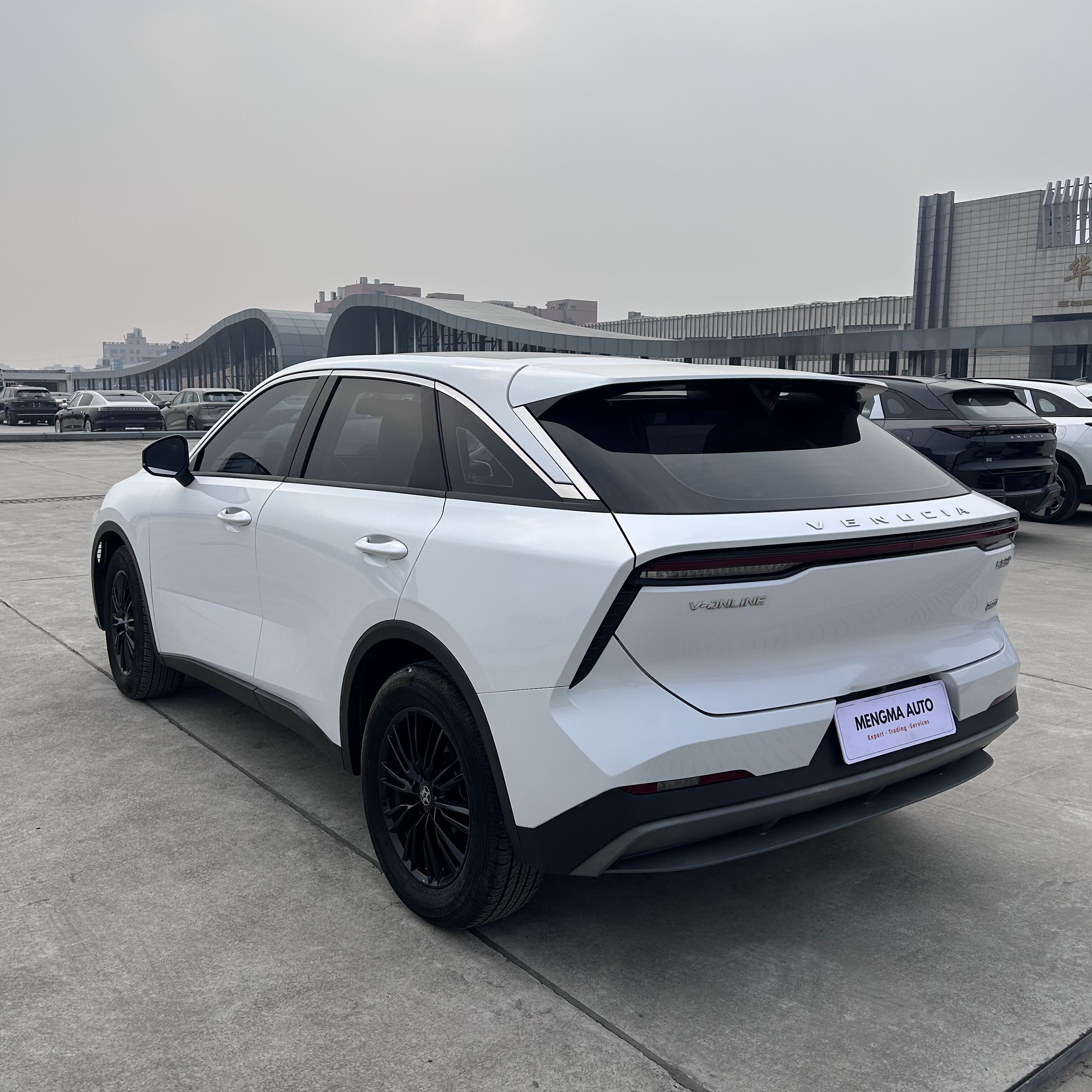 Ontdek de Luxe van Gebruikte Denza Z9GT Voertuigen