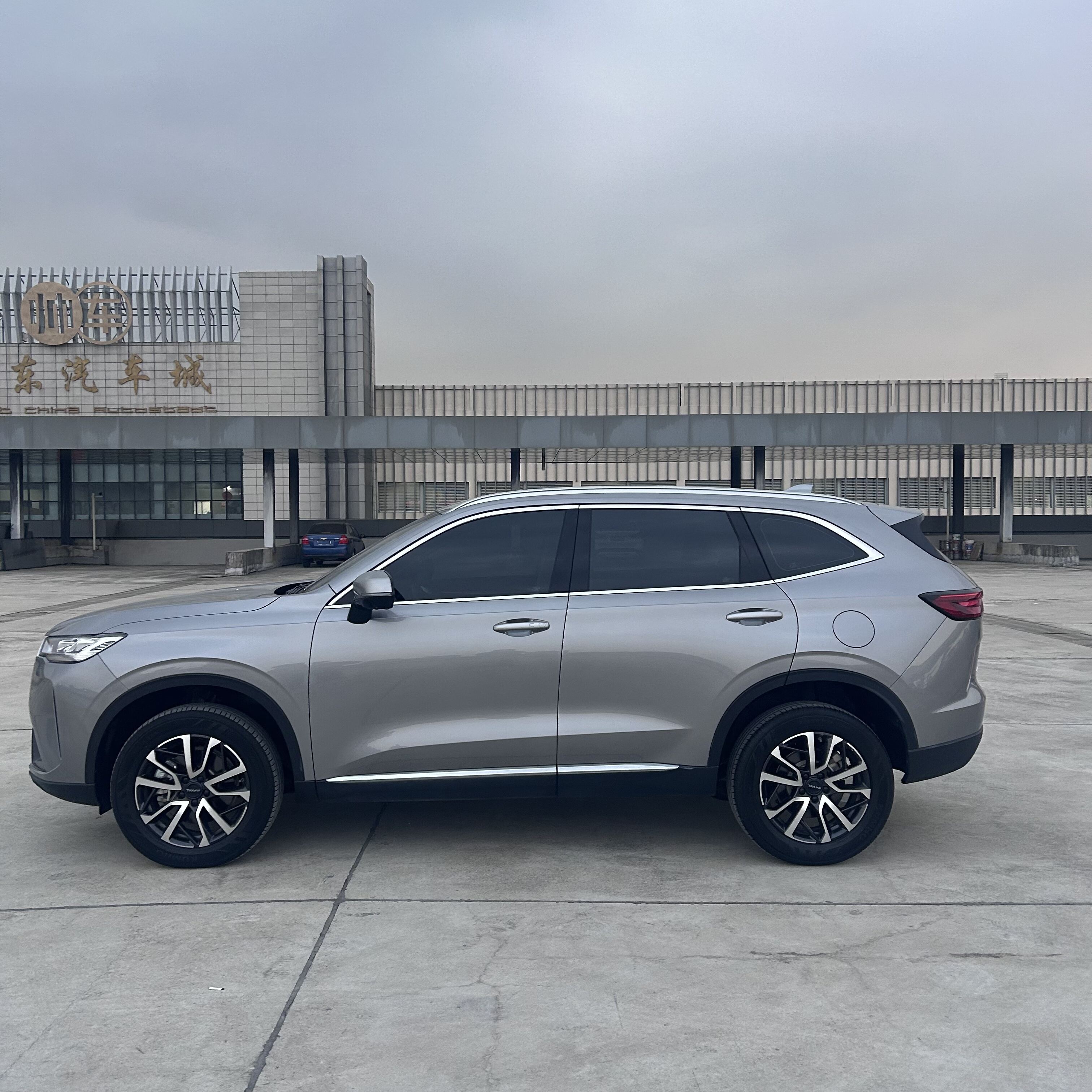 Ekspertise i internasjonale markeder