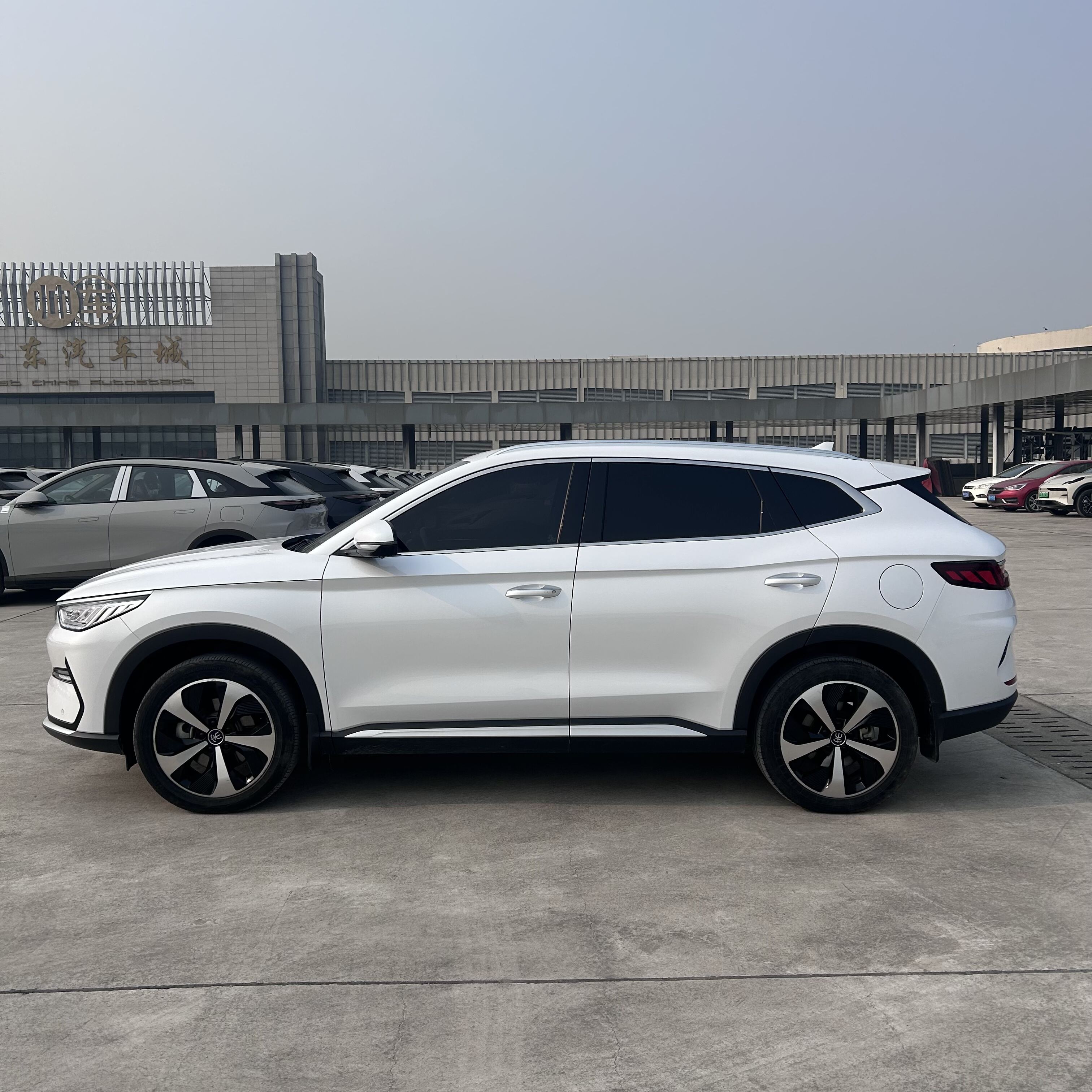 Ekspertgjennomgåelse-prosess