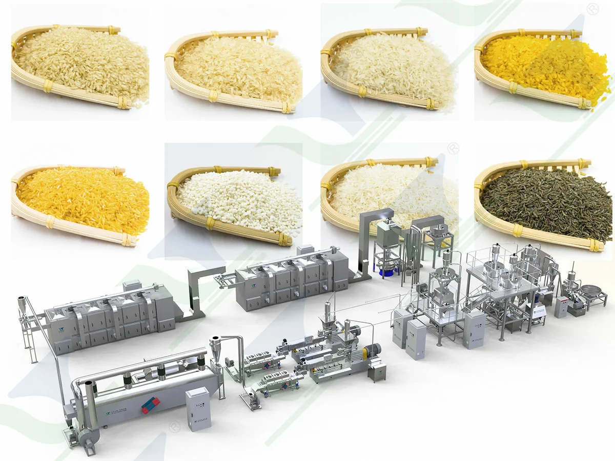 What Is Fortified Rice and How Is It Produced?