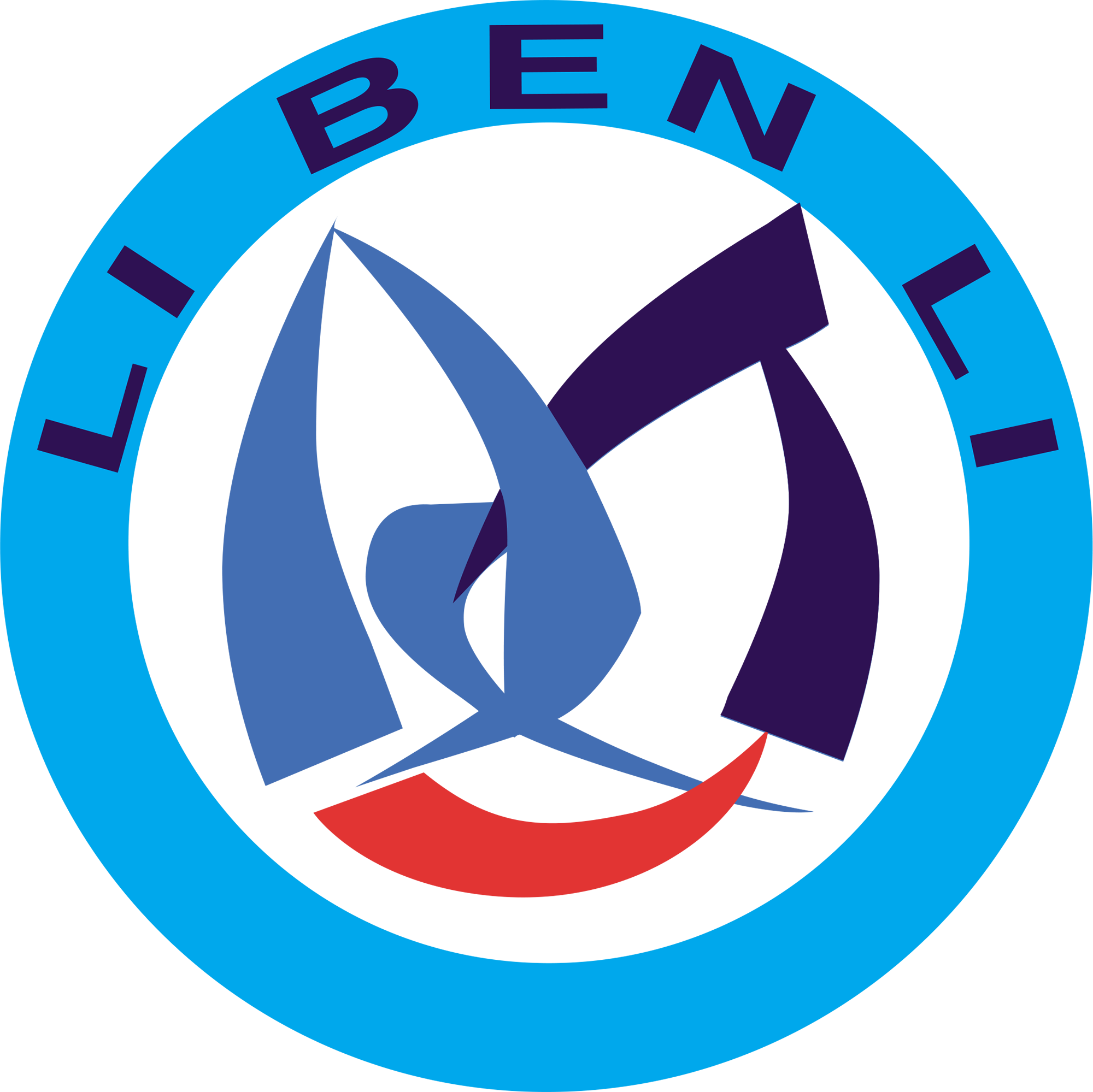 Haiyang Libenli Metal & Technology Co., Ltd.