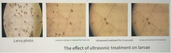 Ultrasonic liquid inactivation equipment can kill all kinds of marine organisms well supplier
