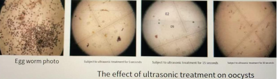 Ultrasonic liquid inactivation equipment can kill all kinds of marine organisms well details