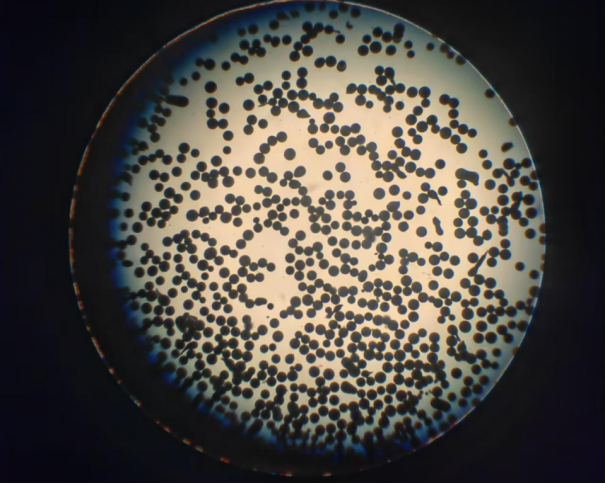 Solder powder,a commonly used welding material in the electronics manufacturing industry supplier