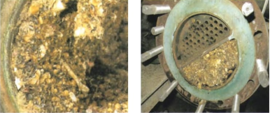 Ultrasonic liquid inactivation equipment can kill all kinds of marine organisms well manufacture