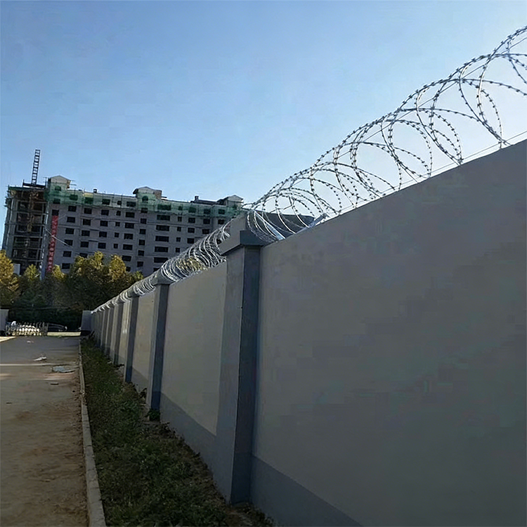 Explore Our Premium Stainless Steel Barbed Wire Products